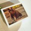 3Д картинка "Бурый медведь" 14,5 х 19,5 см х М-0011, голографическая открытка с изображением медведя, без рамки