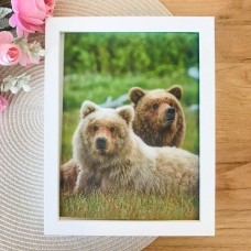 3Д картинка "Два медведя на траве" 14,5 х 19,5 см х М-0012