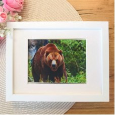3Д картинка "Медведь в лесу" 9,5 х 14,5 см х М-0016