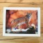 3Д картинка "Рысь" 14,5 х 19,5 см х Ж-0019, голографическая открытка с изображением рыси, без рамки