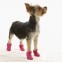 Сапожки резиновые для собак размер XL для защиты лапок от влаги и грязи в дождливую погоду